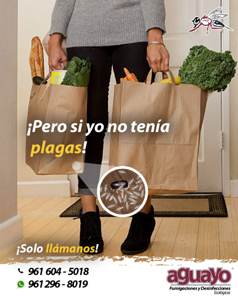 8683 aguayo fumigaciones y desinfecciones ecologicas 768x960