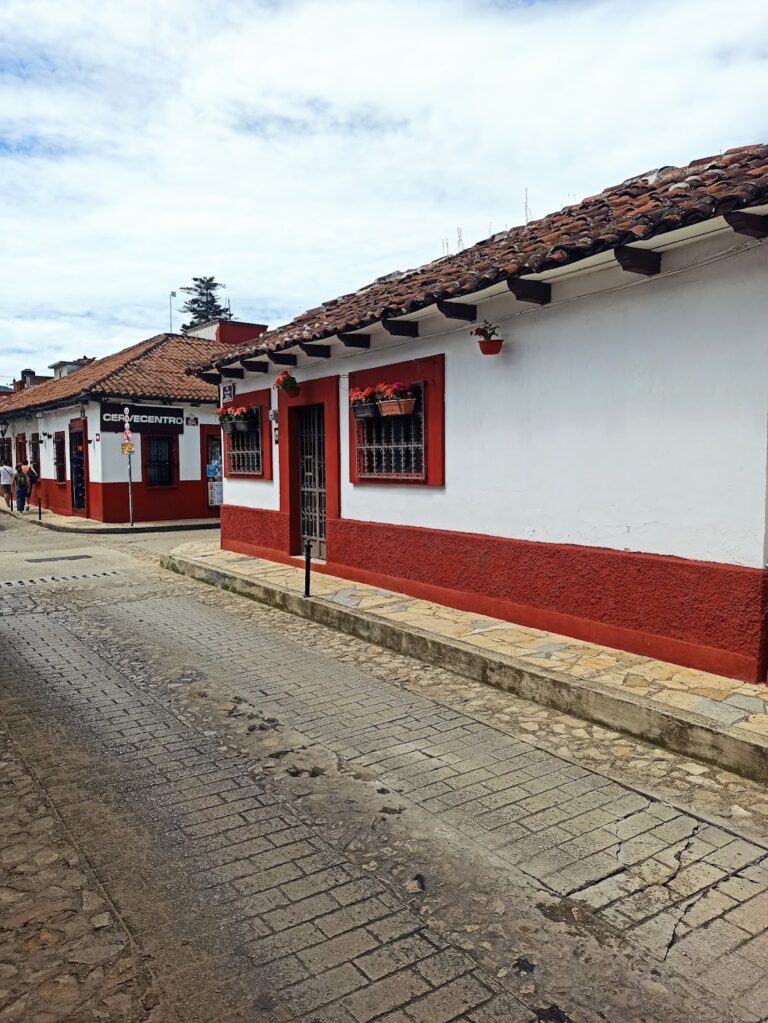 8694 master fumigaciones 768x1023