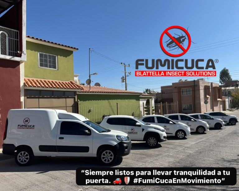 8699 fumigaciones contreras by fumicuca 768x614