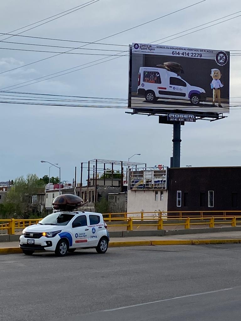 8707 fumigaciones rojero