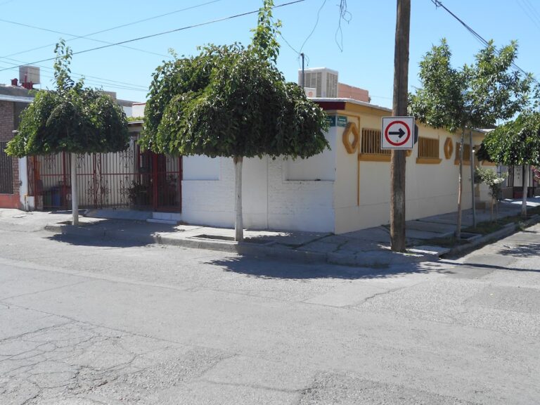 8713 fumigaciones ormex 768x576