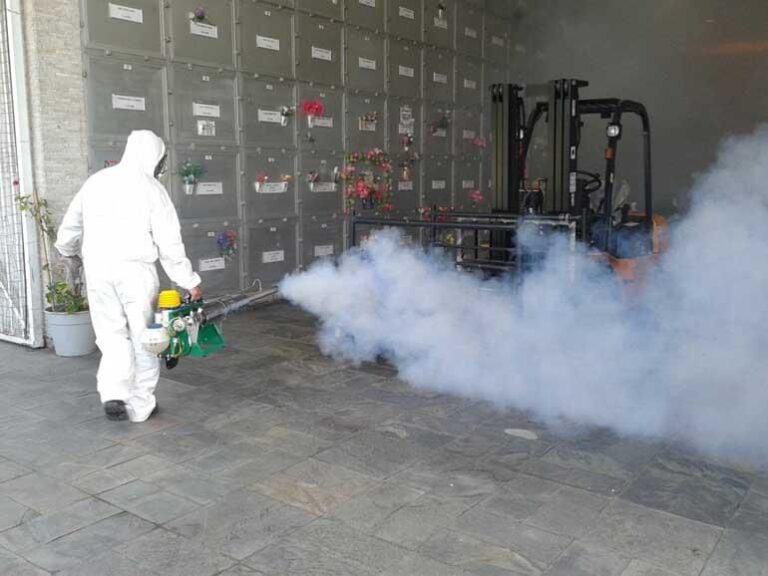 8721 fumigaciones y control de plagas cdmx mata bichos 768x576