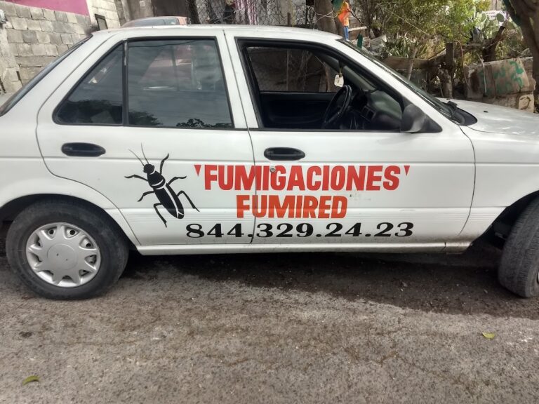 8729 fumigaciones fumired saltillo 768x576