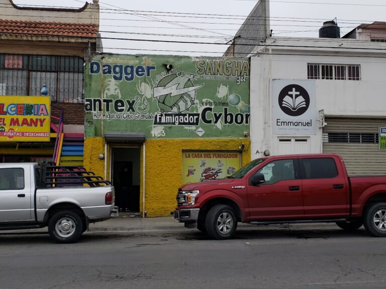 8732 la casa del fumigador 768x576