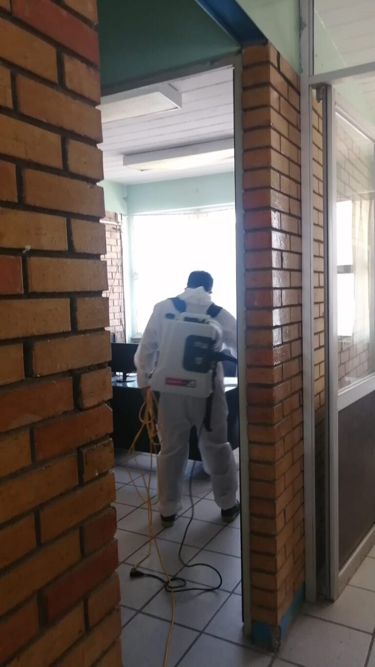 8743 fumigaciones urbanas laguna 768x1366