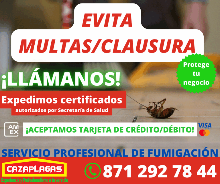 8745 cazaplagas fumigacion y desinfeccion 768x644