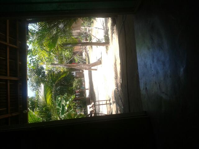 8752 estrella de oro fumigaciones