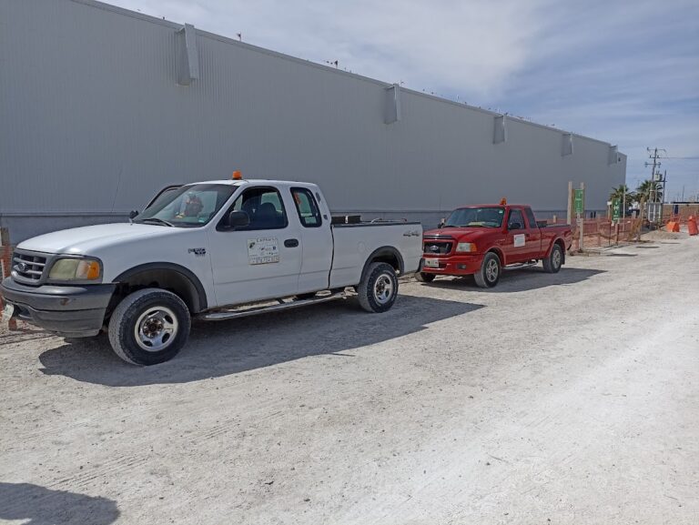 8754 express fumigaciones 768x577