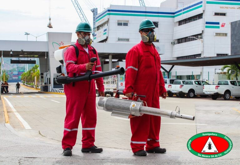 8771 masepo fumigadora 768x529