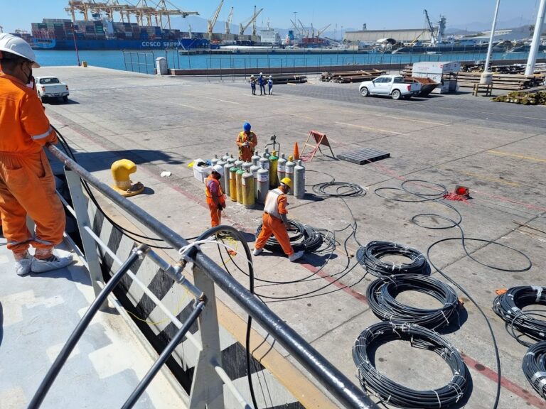 8773 centro internacional de fumigaciones fitosanitarias s.a. de c.v 768x576