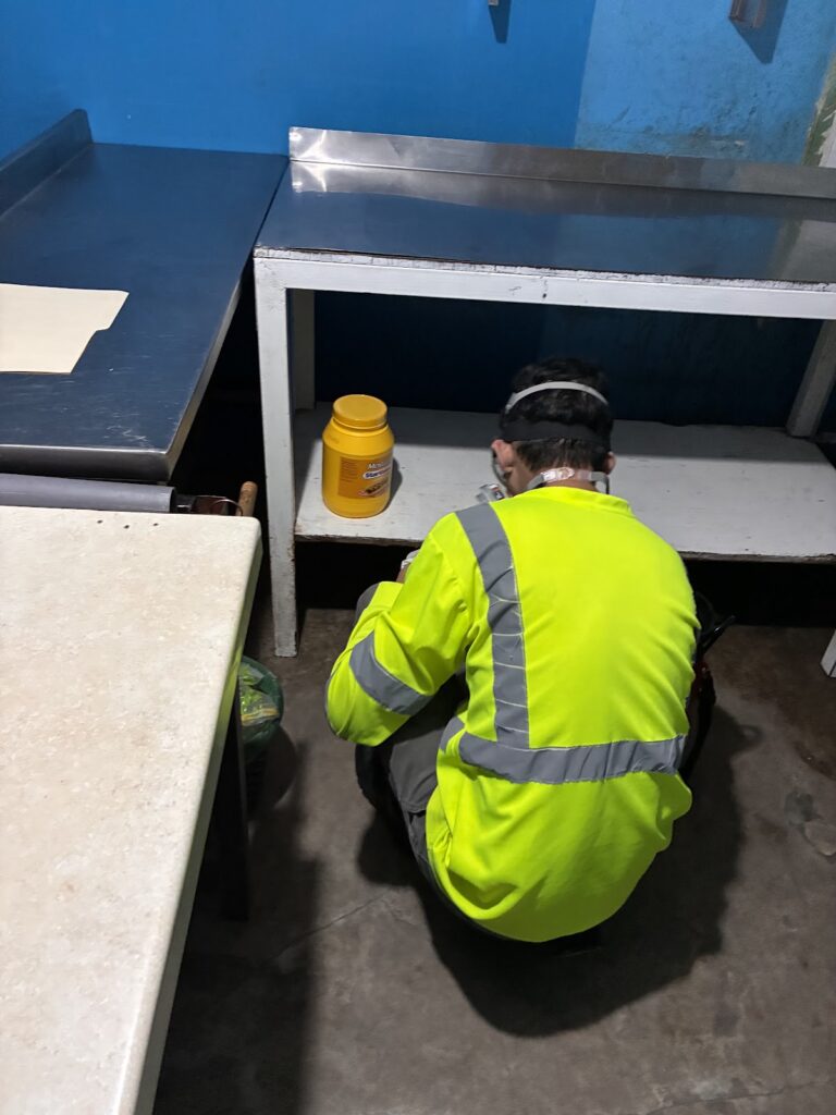 8790 control de plagas venenos e insecticidas el rayo 768x1024