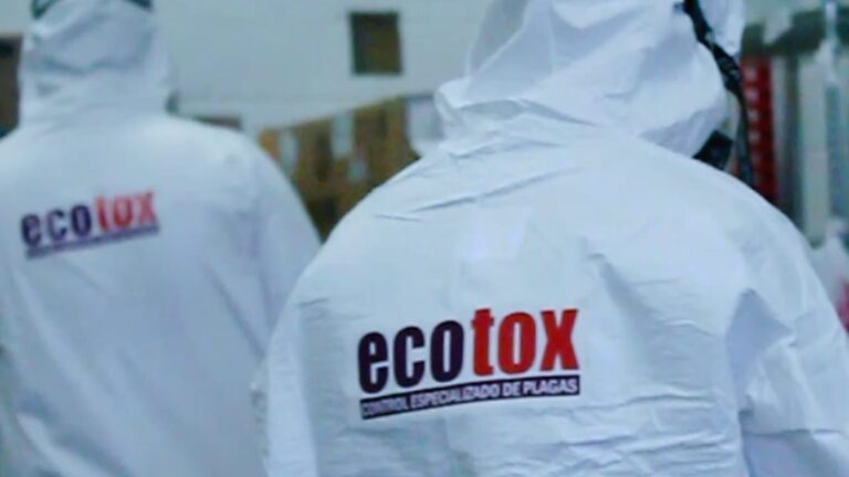 8808 fumigaciones ecotox control de plagas y desinfeccion 768x432