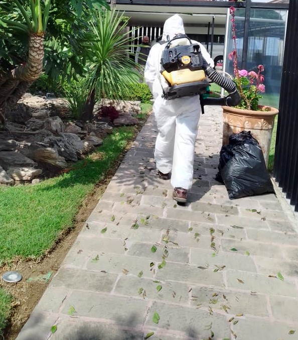 8814 fumigaciones morex