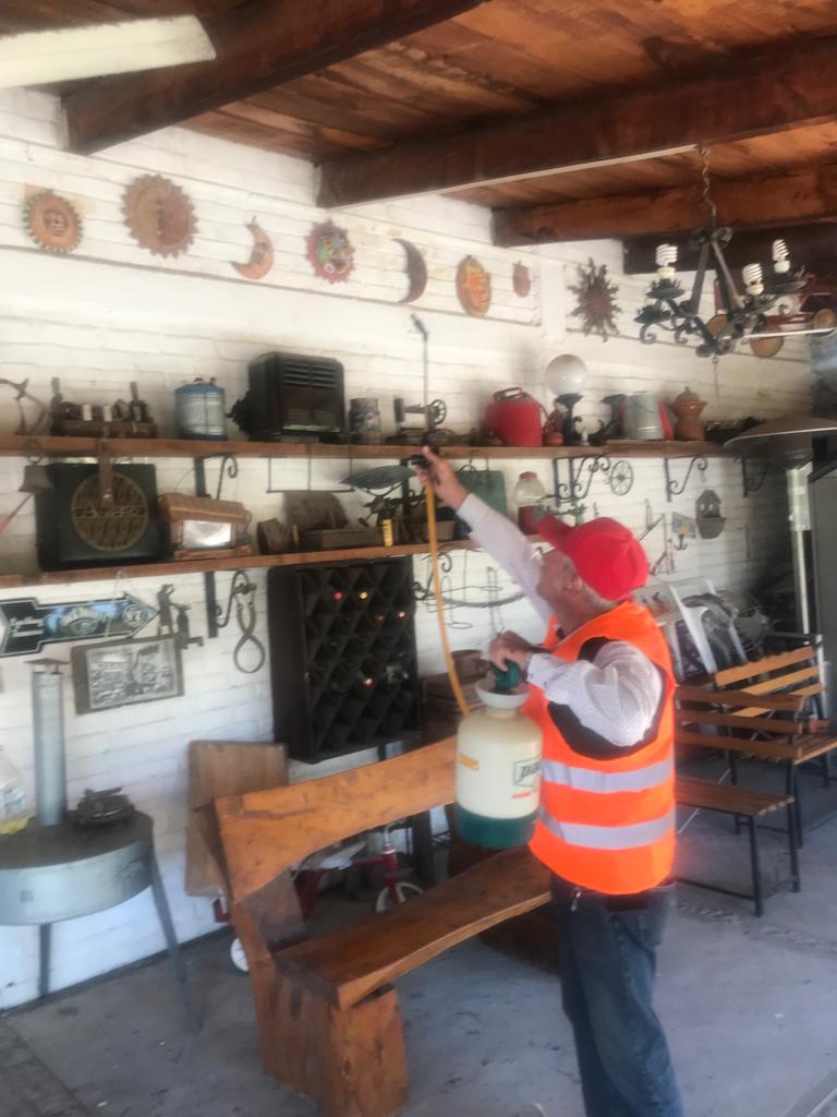 8838 fumigaciones caza plagas