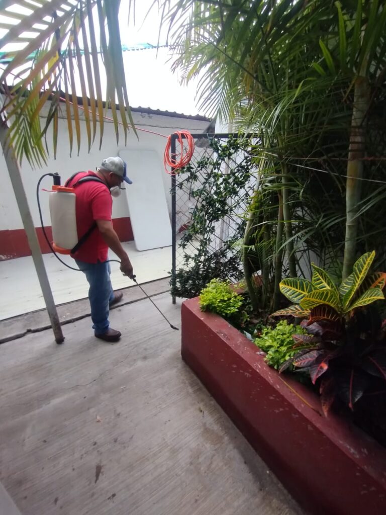 8854 fumigaciones martinez 768x1024