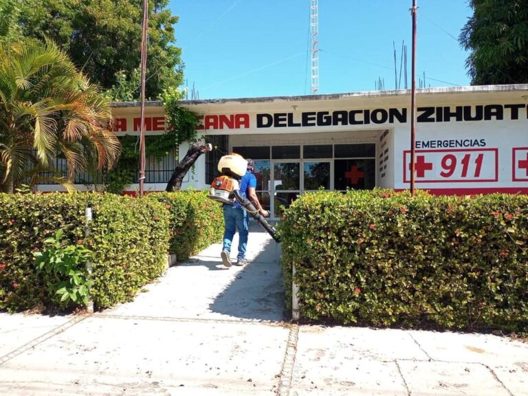 8863 fumigacion pest control bio kar ixtapa zihuatanejo 768x576