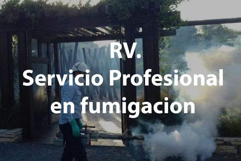 8868 rv fumigacion hidalgo servicio integral de control de plagas 768x512