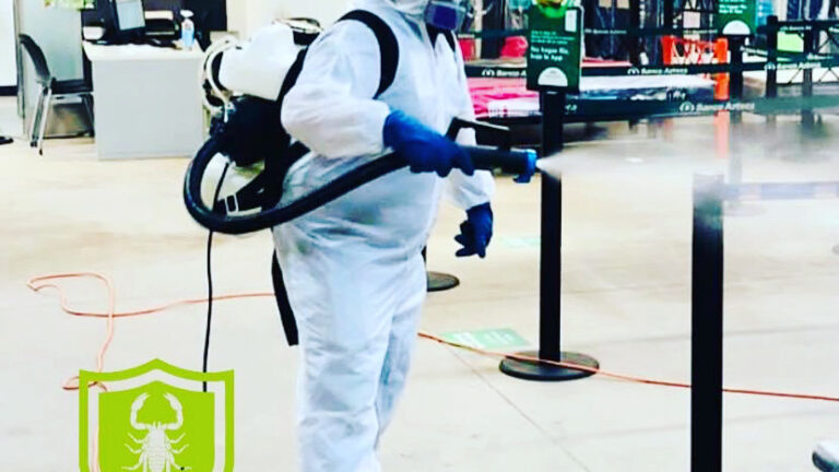 8885 erradik fumigaciones guadalajara 768x432