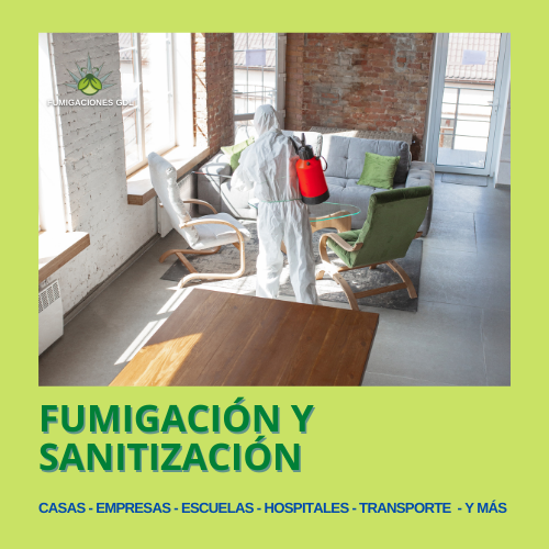 8895 fumigaciones gdl