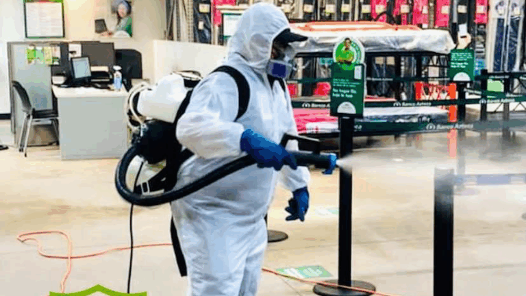 8900 erradik fumigaciones vallarta 768x432