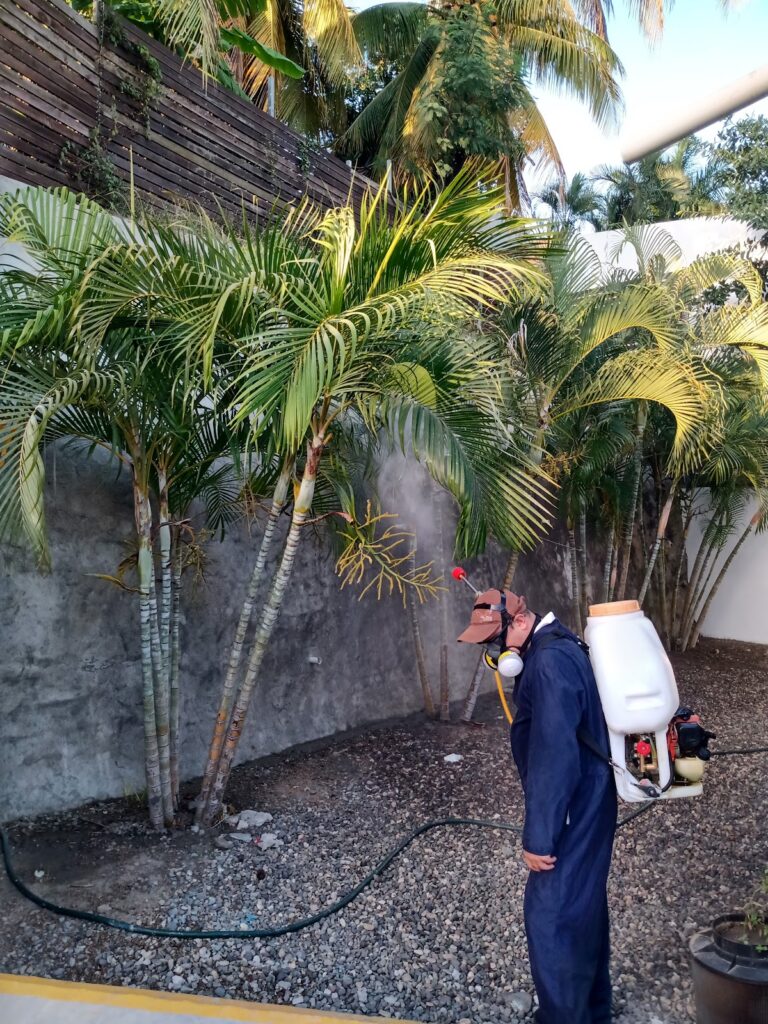 8902 fumigaciones vallarta 768x1024