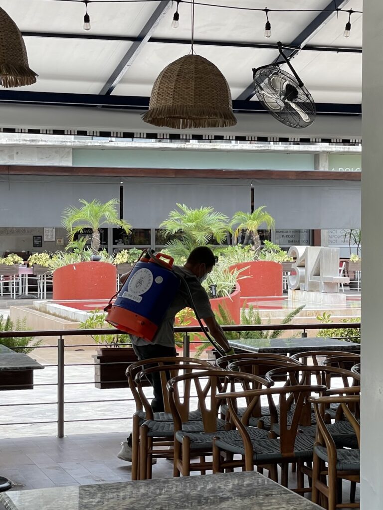 8904 control de plagas vallarta 768x1024