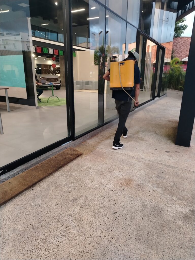 8906 control de plagas veracruz 768x1024