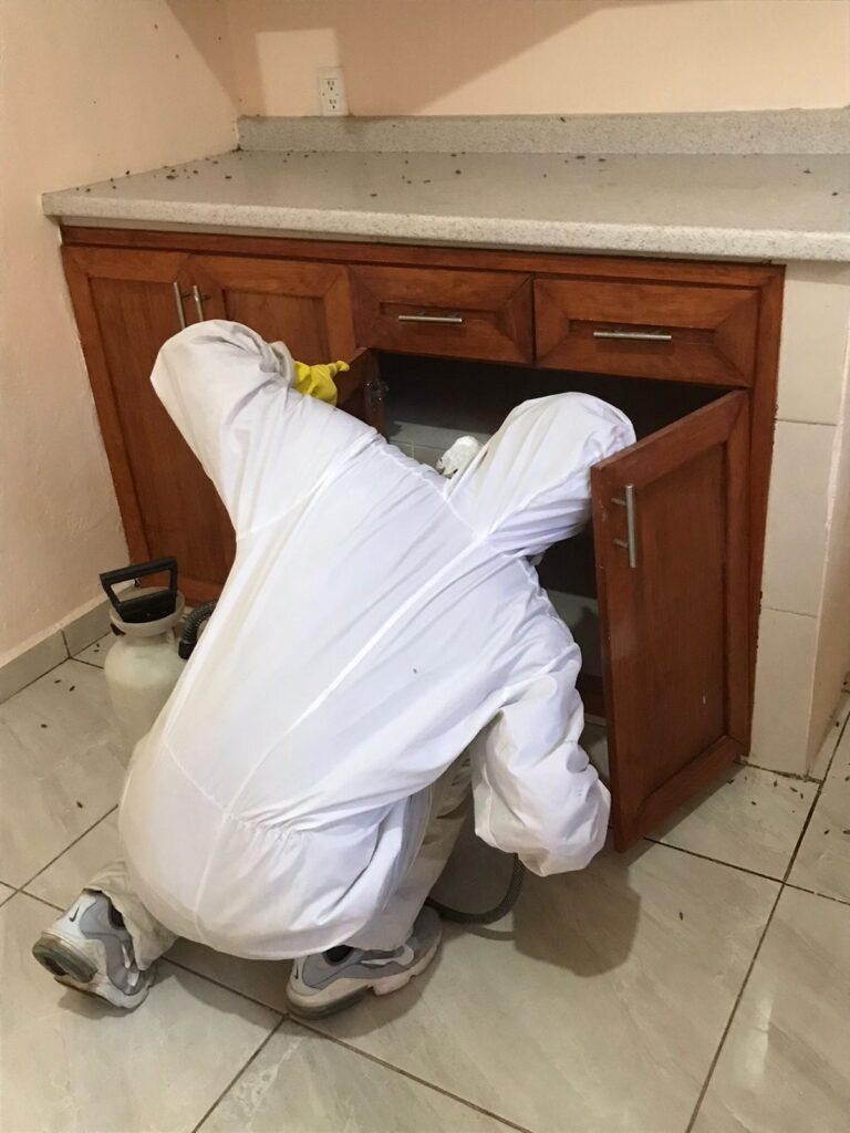 8912 fumigaciones hernandez vergel 768x1024