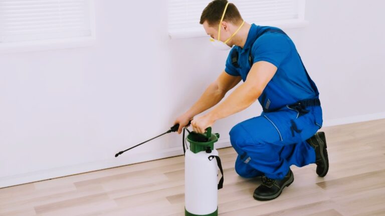 8922 fumigaciones gr control 768x431