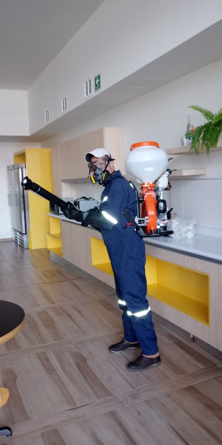 8928 fumide 768x1536