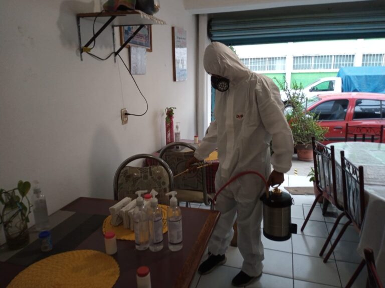 8930 fumigaciones del valle de mexico 768x576