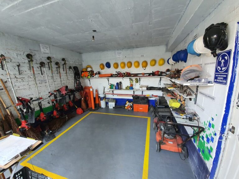 8935 ingessa 768x576