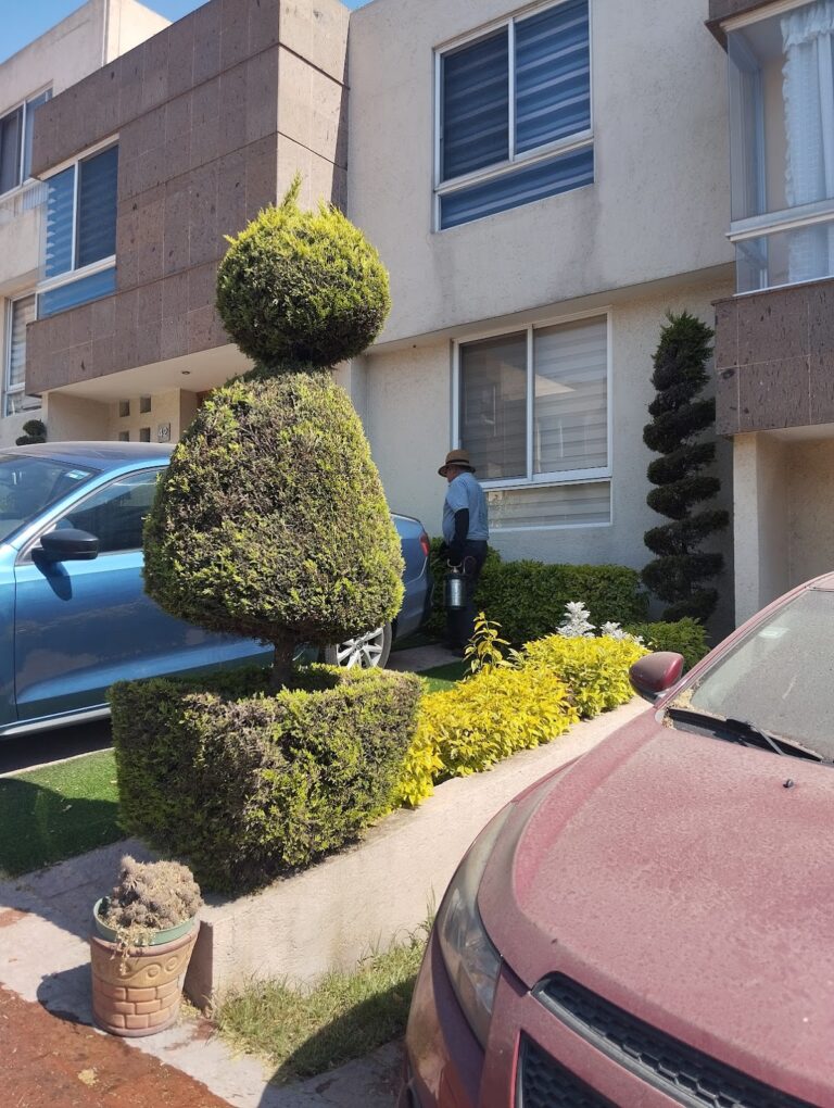 8944 fumigaciones dragones de america 768x1020