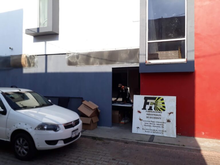 8981 fumigaciones industriales de occidente 768x576