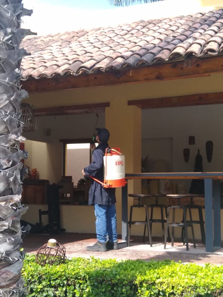 8986 fumigaciones cuernavaca jz control integral de plagas 768x1024