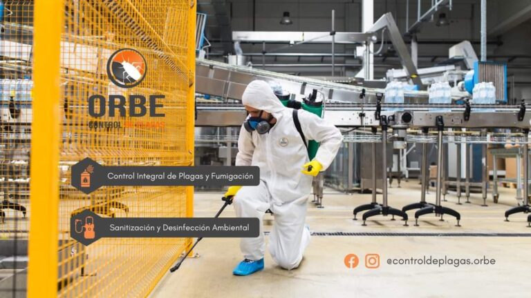 8994 orbe control de plagas y fumigacion cuautla morelos 768x432
