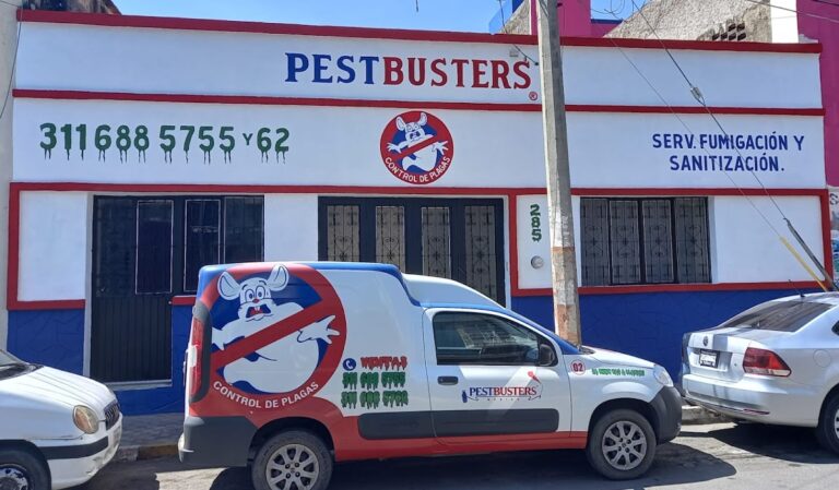 9008 pestbusters nayarit 768x449