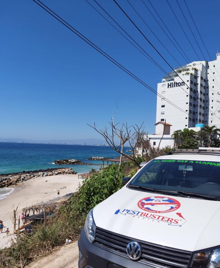 9012 pestbusters bahia de banderas 8211 fumigacion y control de plagas 768x935