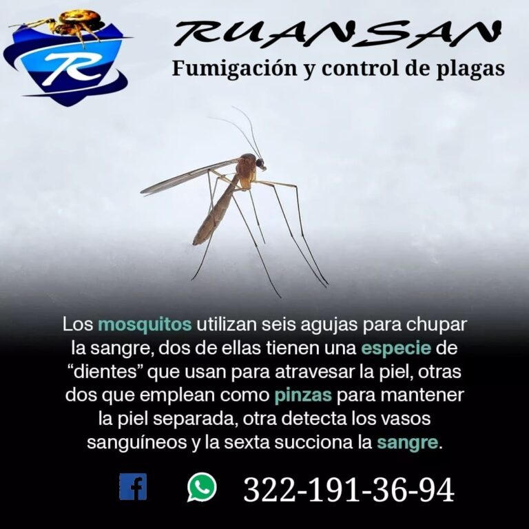 9014 fumigacion y control de plagas ruansan 768x768