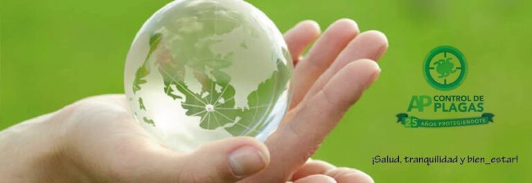 9020 ap control de plagas puerto vallarta fumigaciones nuevo vallarta bucerias fumigacion de palapas 768x264