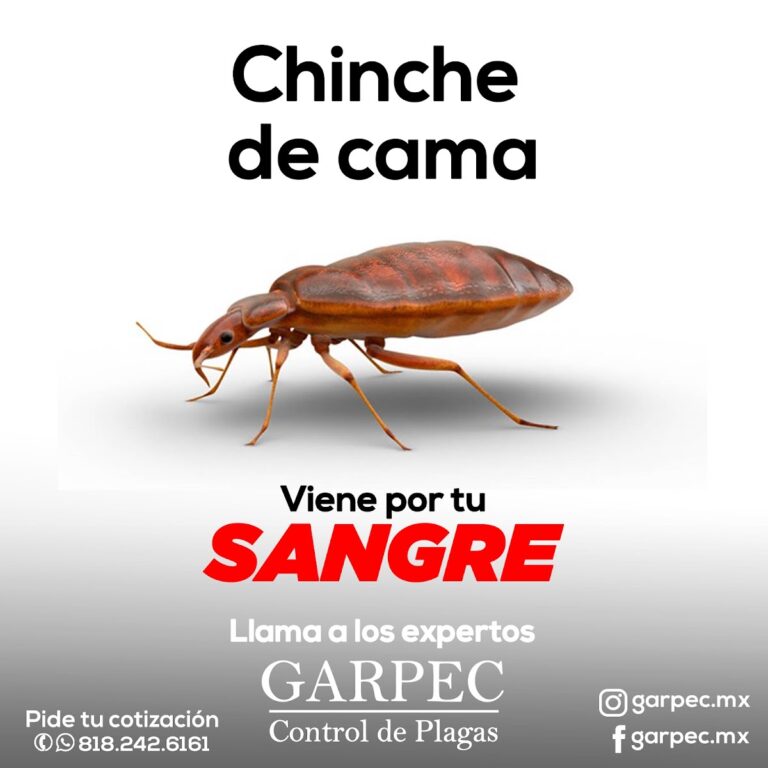 9028 garpec control de plagas 768x768