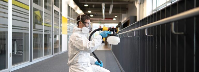 9047 fumigaciones en apodaca 768x280