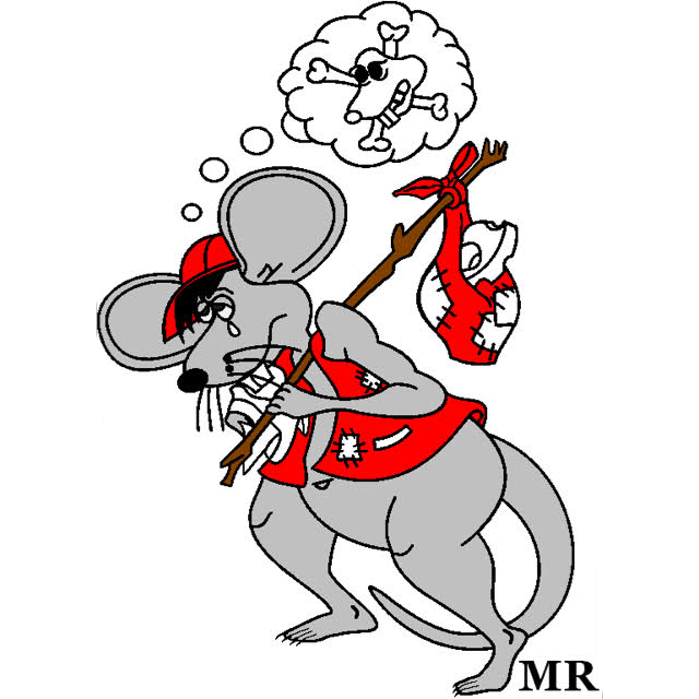 9049 fumigaciones de oaxaca