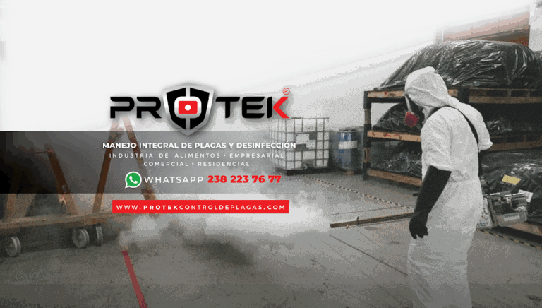 9078 protek control de plagas 8211 matriz 768x436