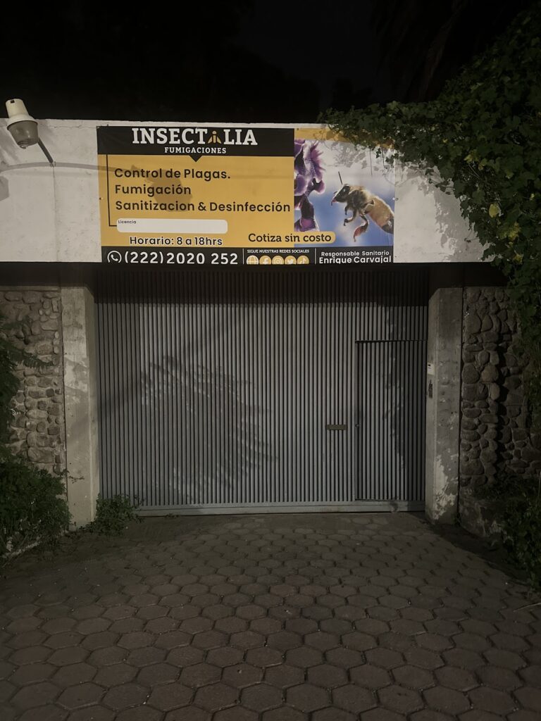 9090 insectalia 768x1024