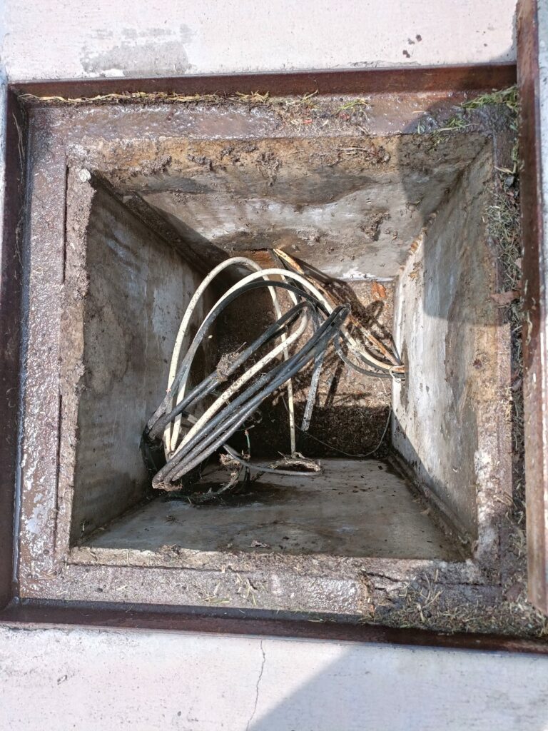 9092 sar control de plagas fumigacion queretaro 768x1024