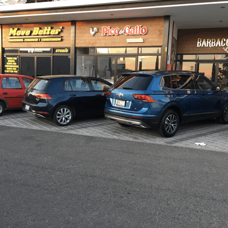 9094 fumigaciones de chinches 768x767