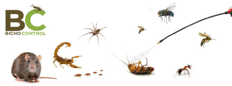 9098 fumigaciones y control de plagas bicho control queretaro 768x284