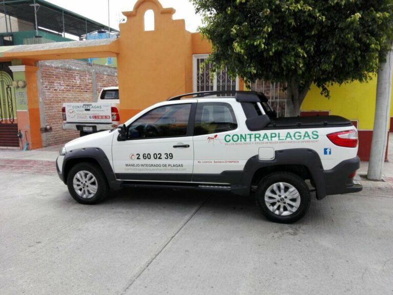 9100 contraplagas de queretaro 768x576