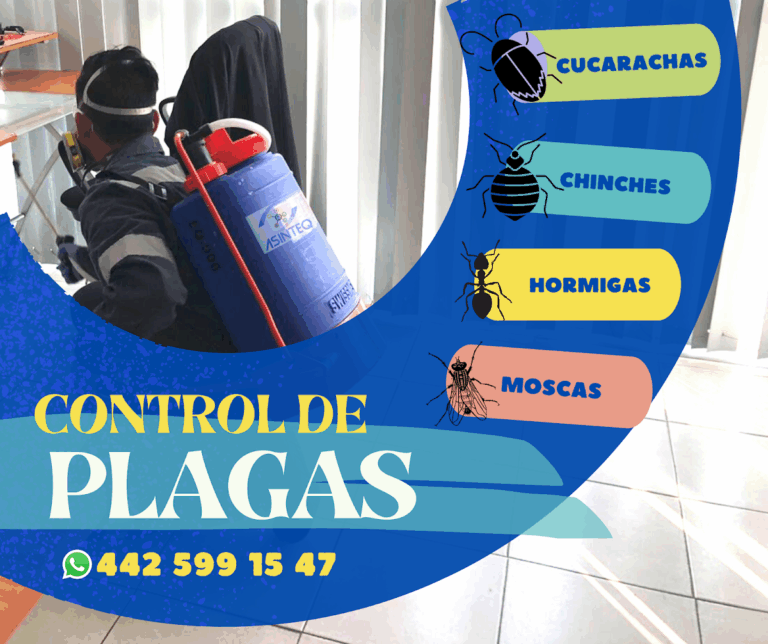 9106 asinteq control de plagas 768x644